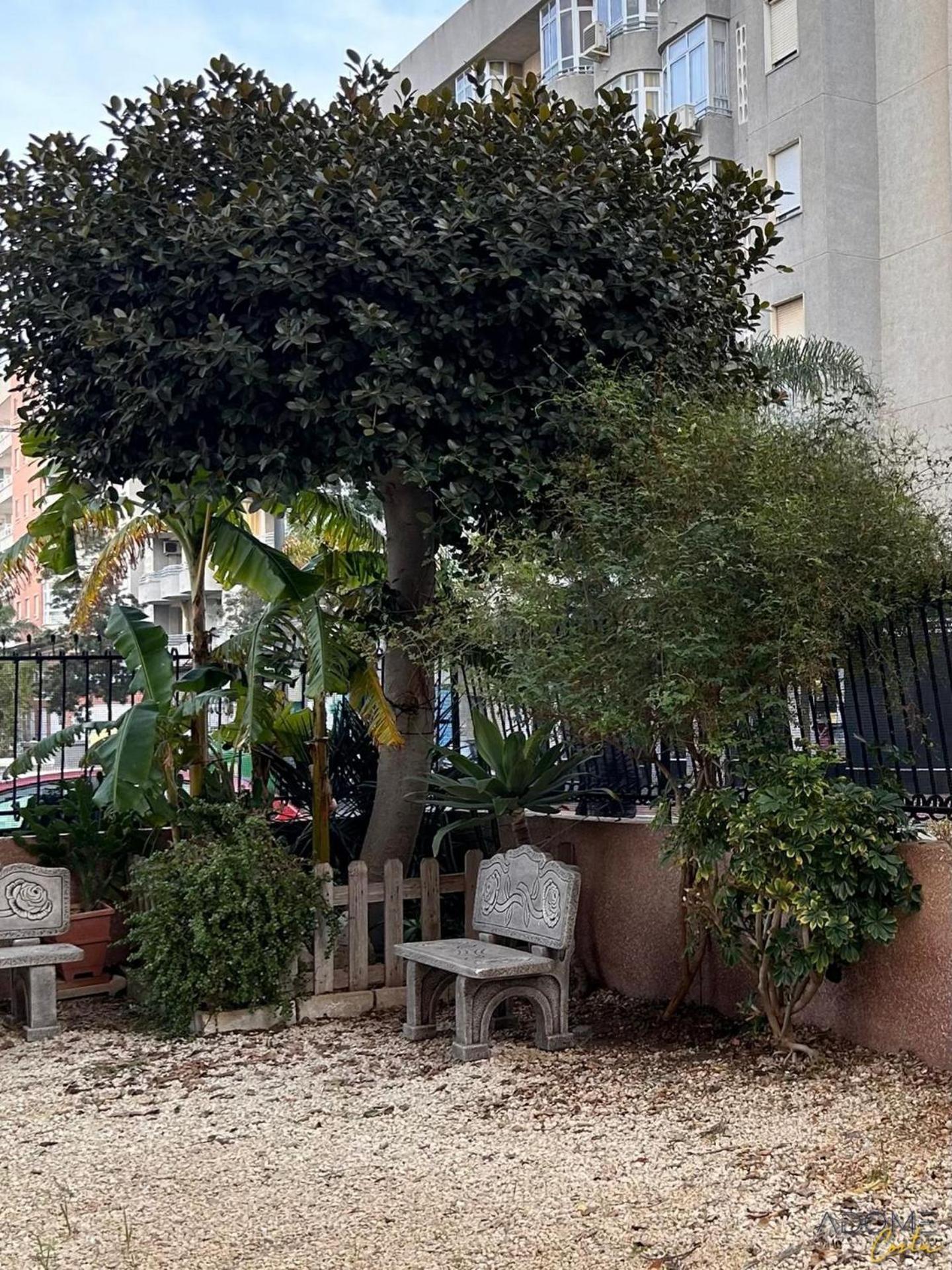 Appartamento Adome Primavera Santa Pola